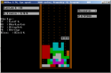 New Tetris (DOS, 1992) ingame.png