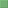 DS