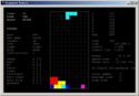 Standard Tetris (PC, 2003) ingame.png